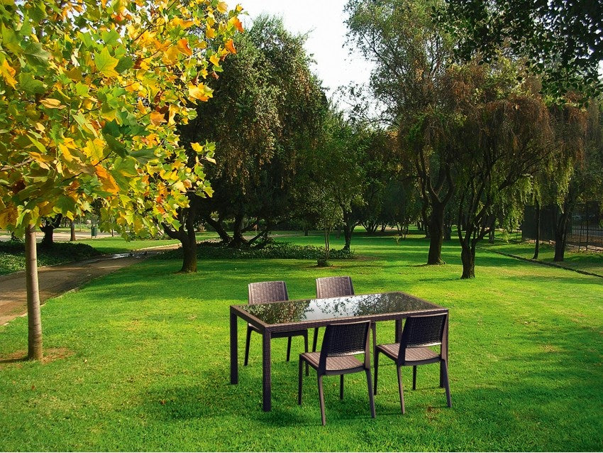 FL Verona Rattan Look Hospitality Chair