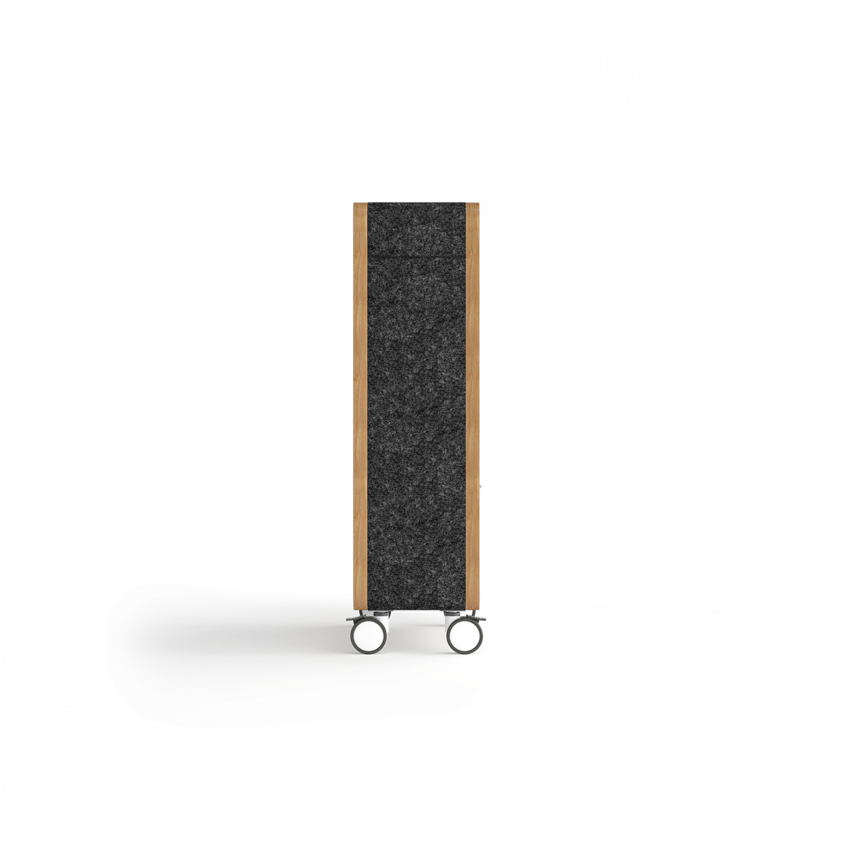 OL Rover Mobile Multi-Media Unit for Presentation