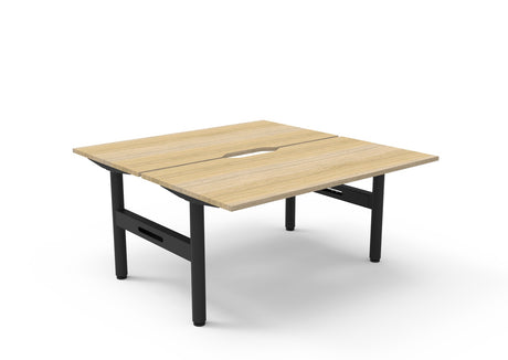 RL Halo Static Back to Back 2 User Desk