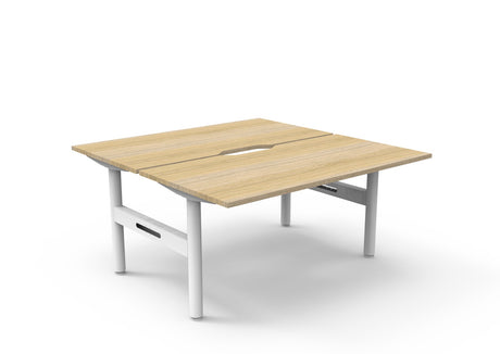 RL Halo Static Back to Back 2 User Desk