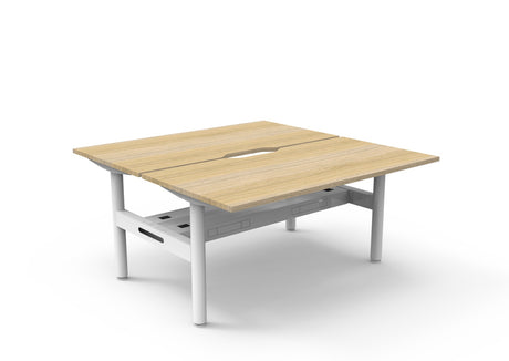 RL Halo Static Back to Back 2 User Desk