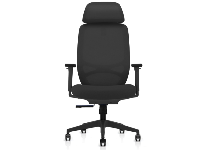 DD Nova Mesh Back Black Task Chair with Headrest