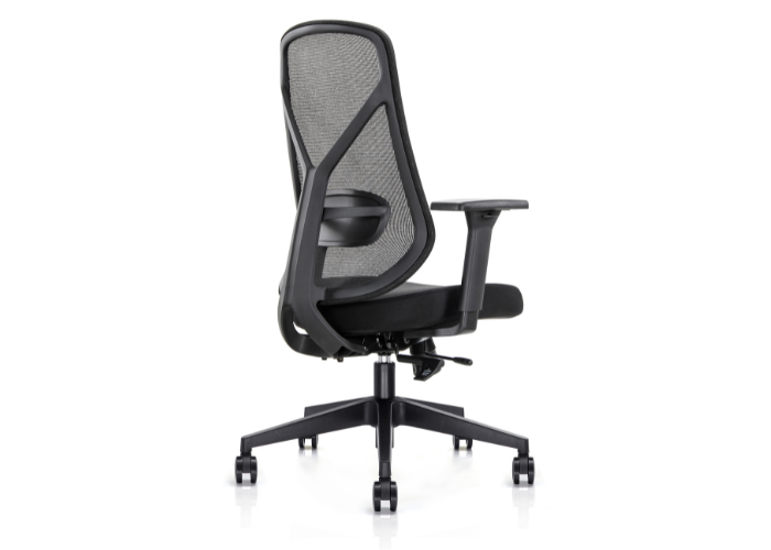 DD Zara Mesh Back Task Chair