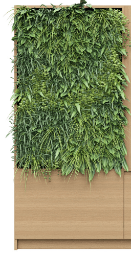 DD Aako 1 Cupboard Arched Planter Storage Wall Unit