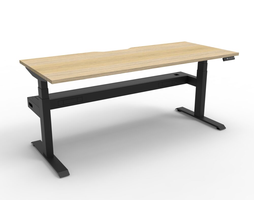 RL Boost Plus Motorized Height Adjustable Workstation