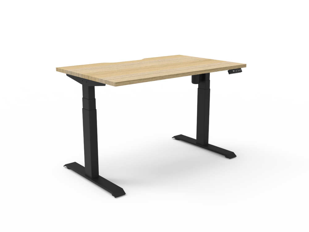 RL Boost Light Motorized Height Adjustable Desk
