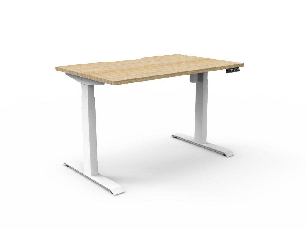 RL Boost Light Motorized Height Adjustable Desk
