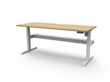 RL Boost Light Motorized Height Adjustable Desk