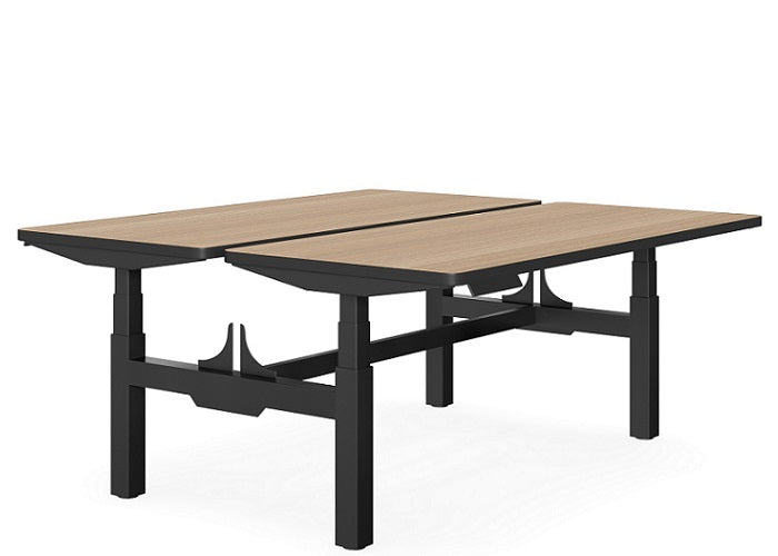 DD DUO – 402 Selectric Height Adjustable Workstation with Screen