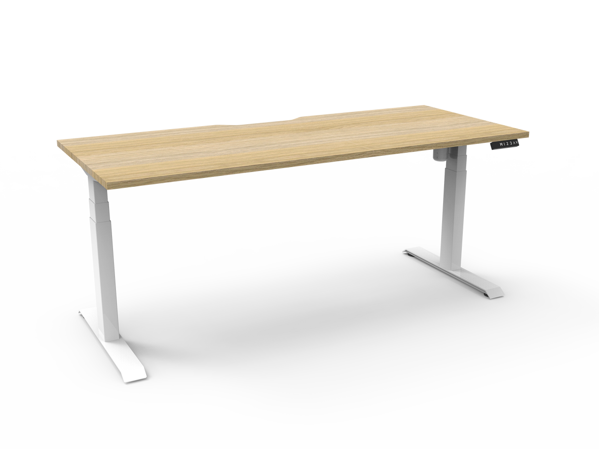 RL Boost Light Motorized Height Adjustable Desk