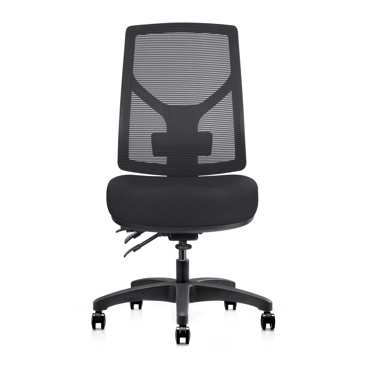RL Gust Mesh Back Ergonomic Task Chair
