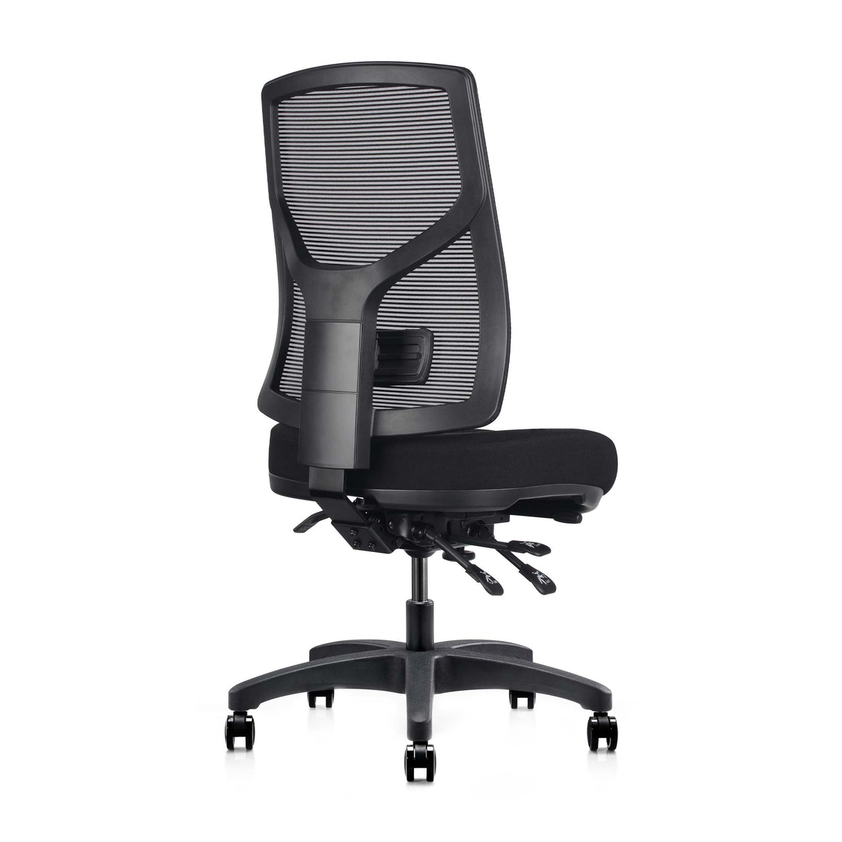 RL Gust Mesh Back Ergonomic Task Chair