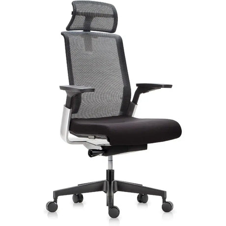 Ergonomics Chairs