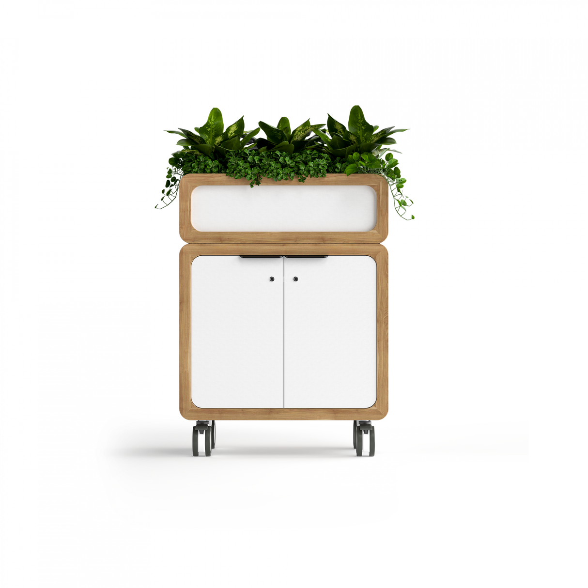 OL Rover Mobile Planter Box