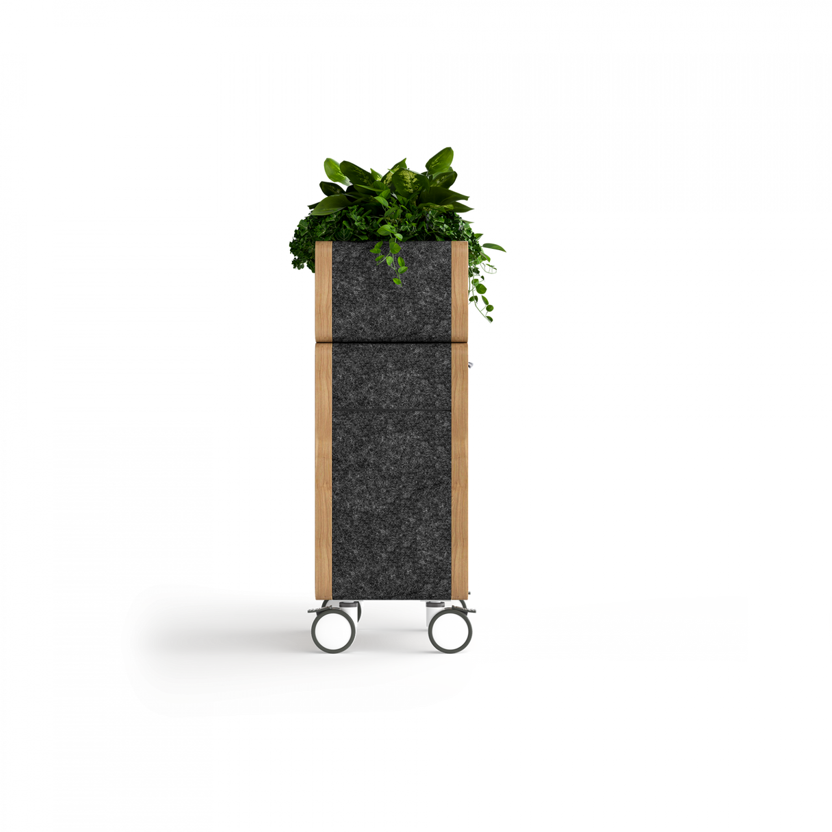 OL Rover Mobile Planter Box