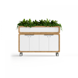 OL Rover Mobile Planter Box