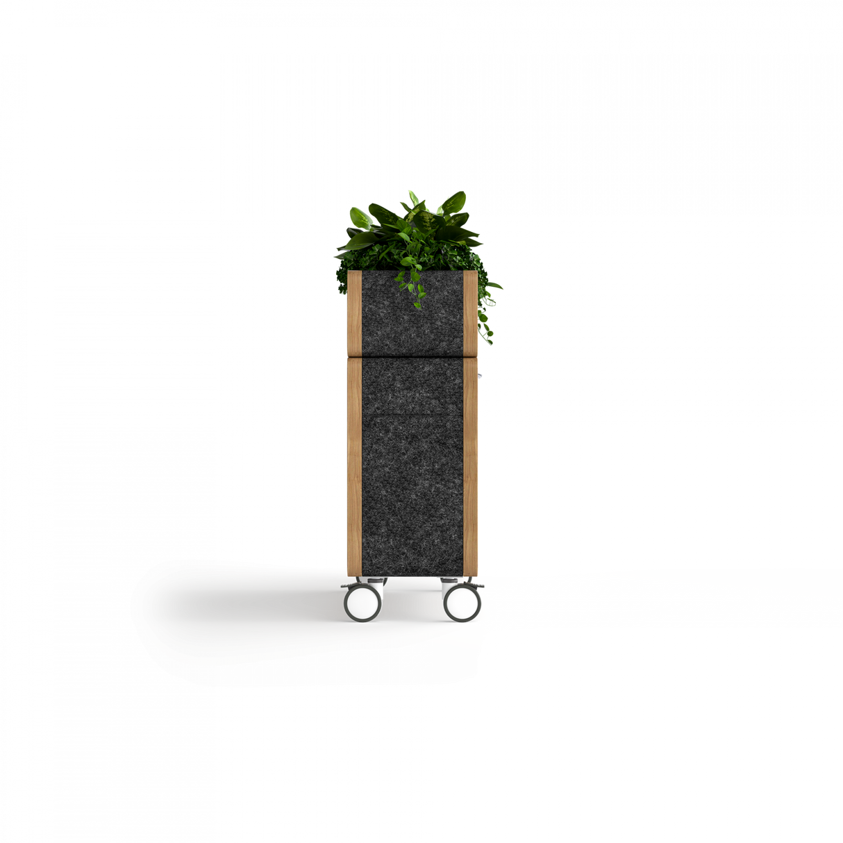 OL Rover Mobile Planter Box