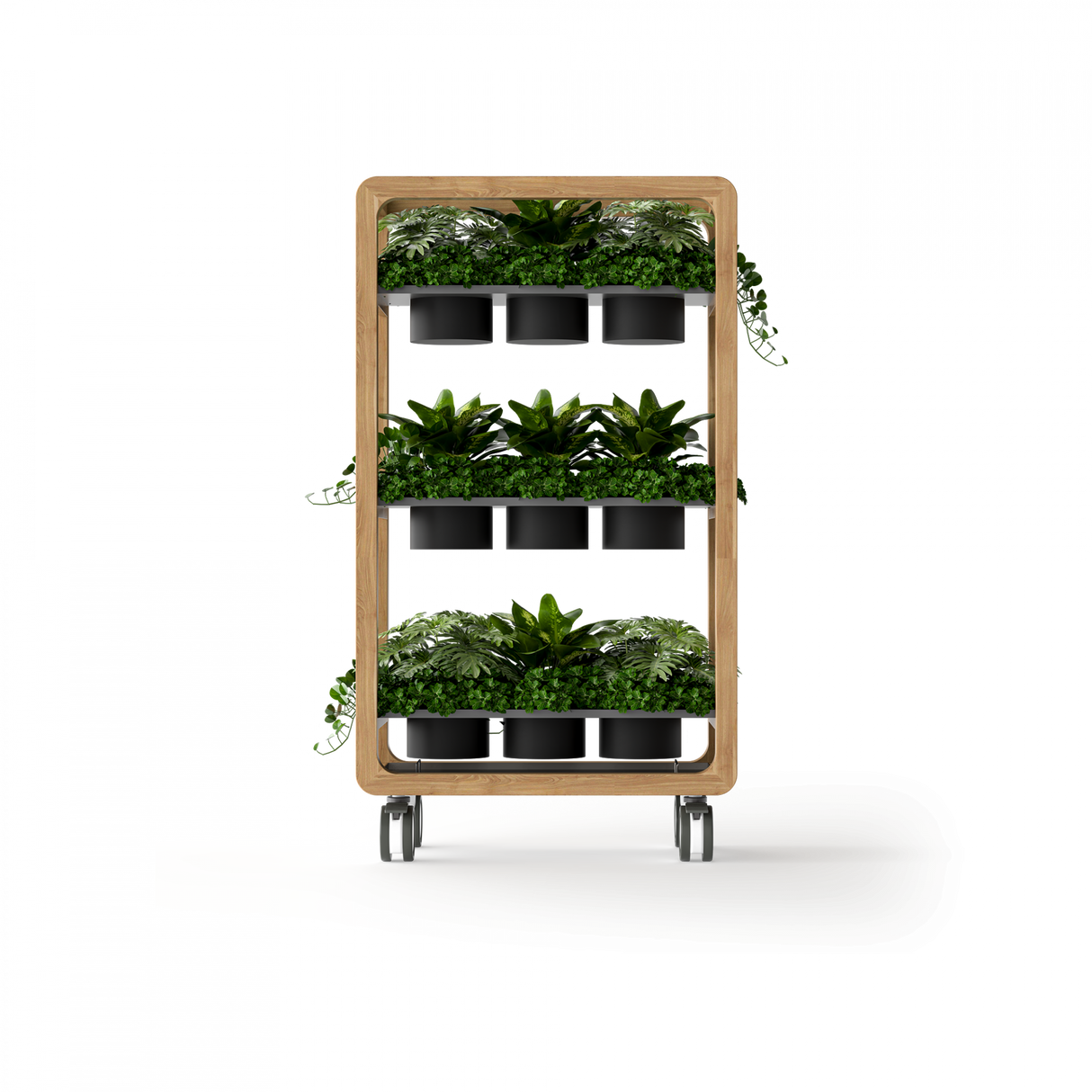 OL Rover 3 Tier Mobile Planter