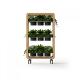 OL Rover 3 Tier Mobile Planter