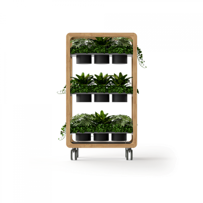 OL Rover 3 Tier Mobile Planter