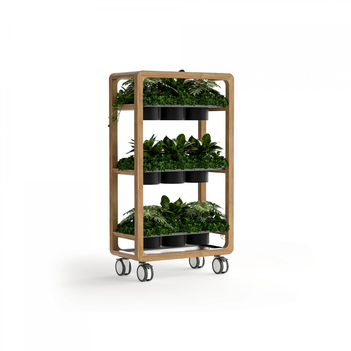 OL Rover 3 Tier Mobile Planter