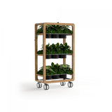 OL Rover 3 Tier Mobile Planter