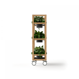 OL Rover 3 Tier Mobile Planter