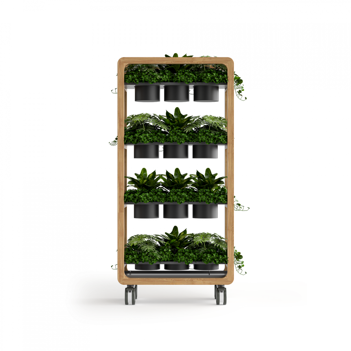 OL Rover 4 Tier Mobile Planter