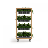 OL Rover 4 Tier Mobile Planter