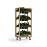 OL Rover 4 Tier Mobile Planter