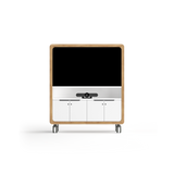 OL Rover Mobile Multi-Media Unit for Presentation