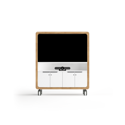 OL Rover Mobile Multi-Media Unit for Presentation
