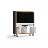OL Rover Mobile Multi-Media Unit for Presentation