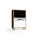 OL Rover Mobile Multi-Media Unit for Presentation