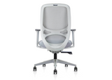 DD Zane Mesh Back Light Grey Task Chair