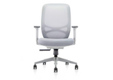 DD Zane Mesh Back Light Grey Task Chair