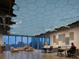 RL Acouline Hive Hexagonal Hanging Ceiling Panels