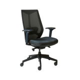 RL Arco Mesh Back Task Chair