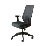 RL Arco Mesh Back Task Chair