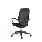 OL Astral Mesh Back Task Chair