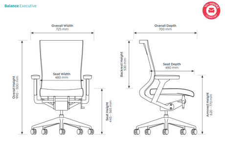 OL Balance Mesh Back Executive Chair with Lumbar