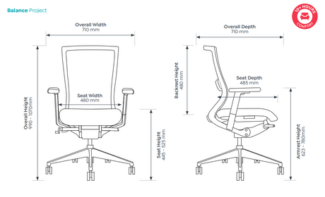 OL Balance Mesh Back Project Task Chair