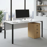 DD CC Plus 2 Drawer 1 File Drawer Under Desk Freestanding Pedestal
