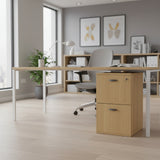 DD CC Plus Custom Made 2 Drawer Filing Cabinet