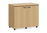 DD CC Plus Swing Door Mobile Utility Cupboard