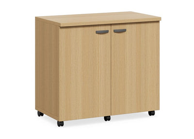 DD CC Plus Swing Door Mobile Utility Cupboard