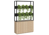 DD Cafe Vertical Garden Divider Wall