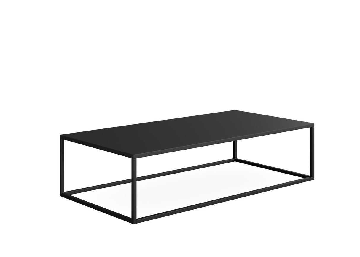 DD Gabe Metal Framed Coffee Table