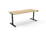 RL Halo Plus Motorized Height Adjustable Desk