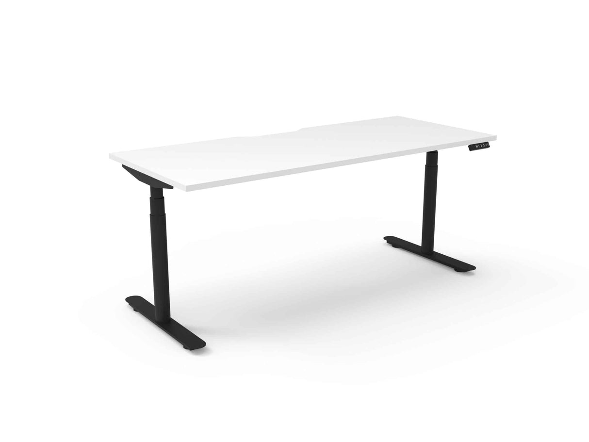 RL Halo Plus Motorized Height Adjustable Desk